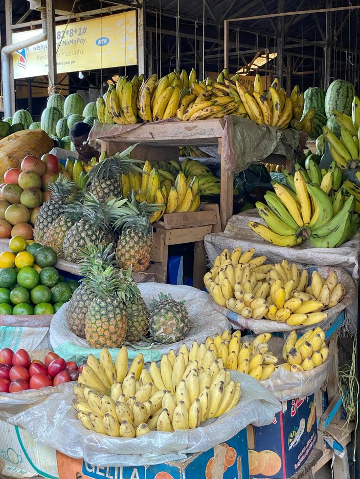 Fresh Traditional Fruits