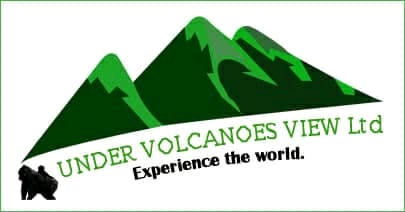 Under Volcanoes View Safaris logo